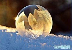 ��ѩ���������ѵľ��� ��ѩ����ף�������İ��̾�