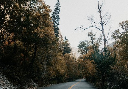 有创意的网名简短又好听