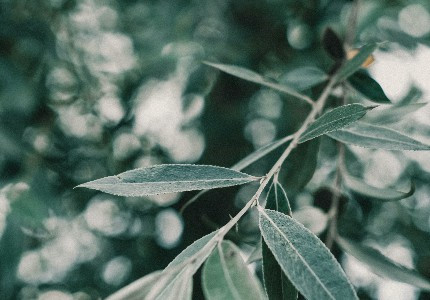 С���Һ�����������