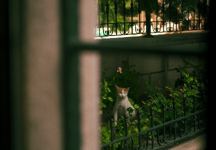 ��Ȼ�Ķ�������������