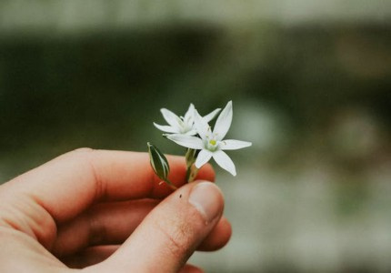 ȡ���ܻ������